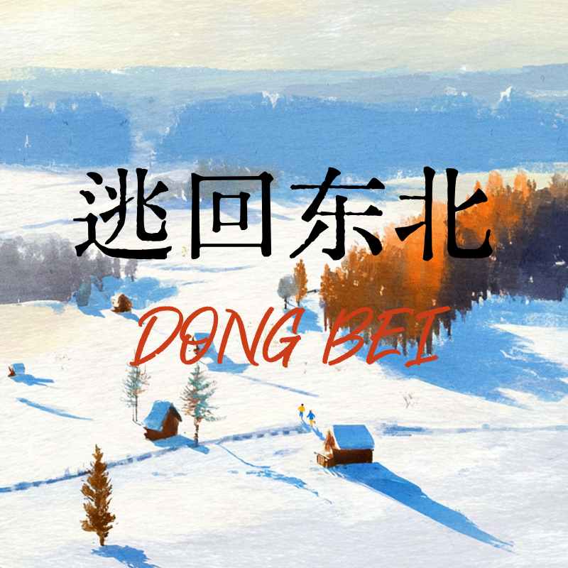 03“逃”回东北的人，现在咋样了？ episode artwork