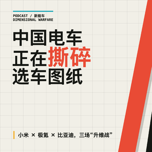 播客｜中国电车正在撕碎选车图纸：少一排座位反而更贵，闯进日本却更像日本车