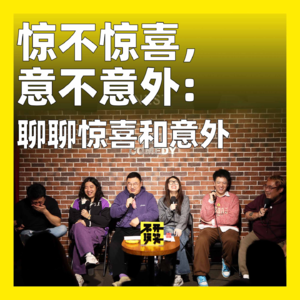 167.惊不惊喜，意不意外：聊聊惊喜和意外