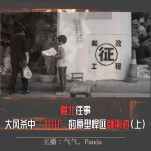 EP10.道北往事:《大风杀》中的“北山”原型-悍匪魏振海(上)