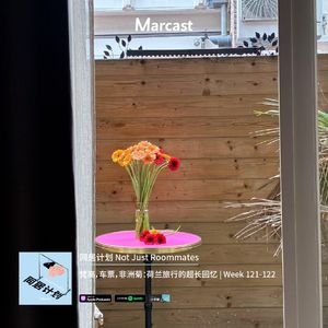 梵高，车票，非洲菊：荷兰旅行的超长回忆 | 同居计划 Week 121-122