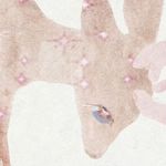 小Lu请多吃蔬菜-邱邱