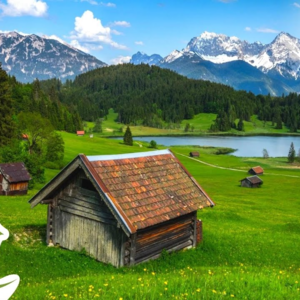 [SR][Cello]9.Paradise：美妙动听的轻音乐，演奏的乐器为钢琴、大提琴、杏木双簧管、长笛和小提琴