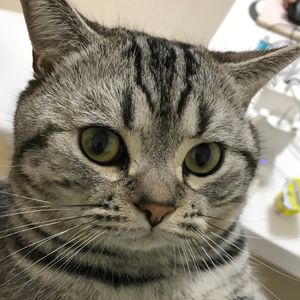 podcaster-avatar