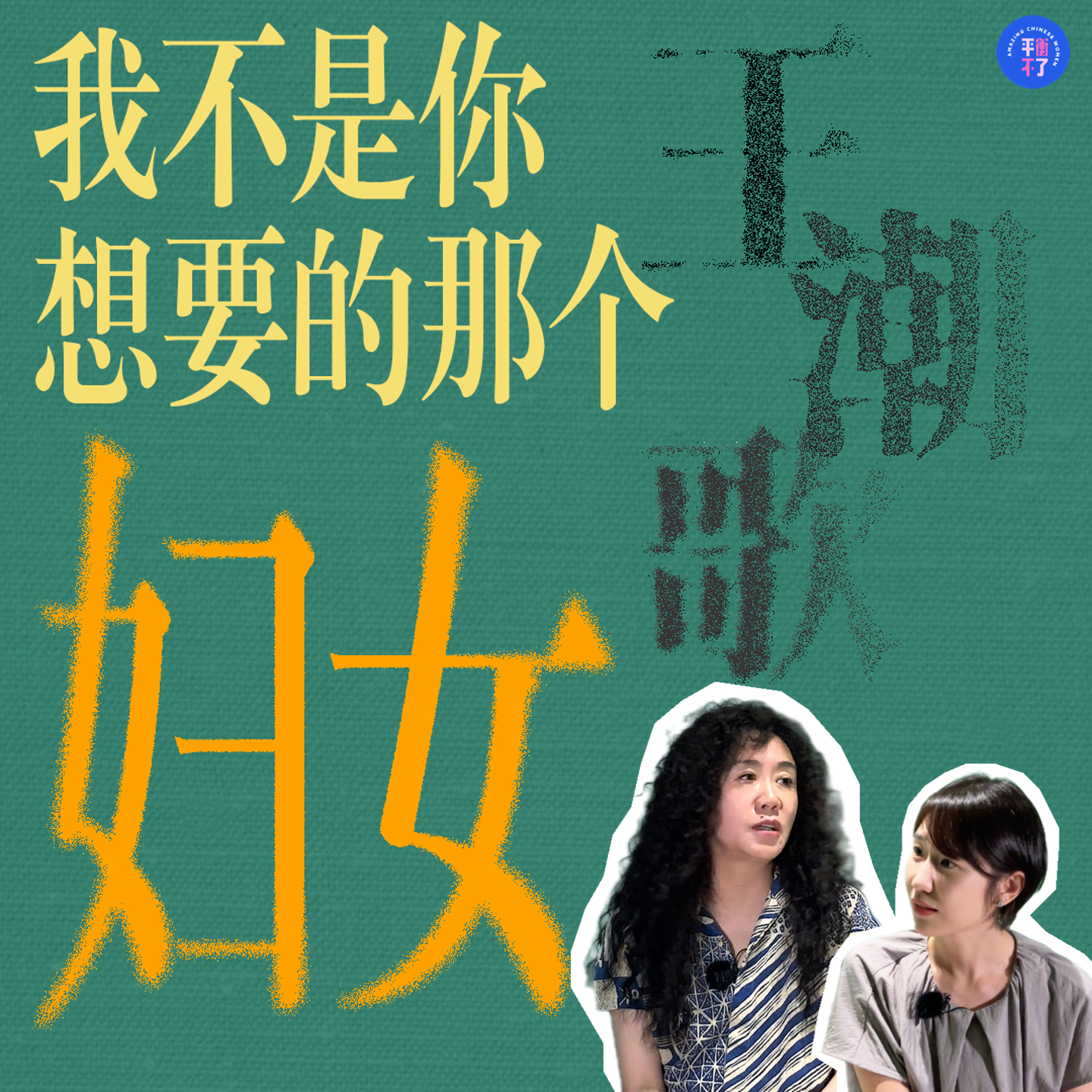 王潮歌：我不是你想要的那个妇女 episode artwork