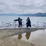 換個視角看世界