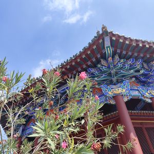 快闪沈阳-与攀岩无关