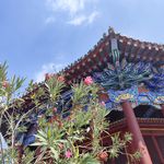 快闪沈阳-与攀岩无关