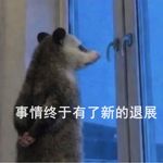 冻樱