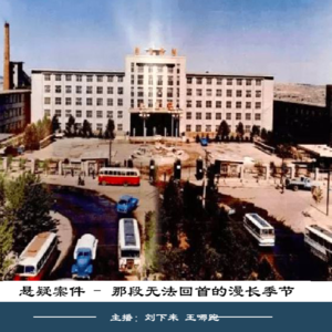 47. 再回首那个漫长的季节:1995黑龙江鹤岗案