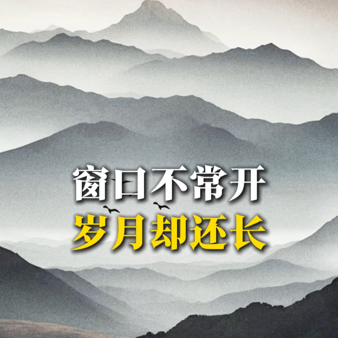 窗口不常开，岁月却还长 episode artwork