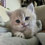 就是喜欢吃辣条