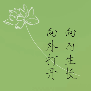 01-向内生长，向外打开