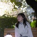 糖桑