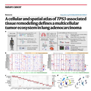 679-TP53-Associated Spatial Atlas of Lung Adenocarcinoma