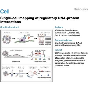 1170-D&D-seq：单细胞调控 DNA-蛋白质相互作用图谱绘制
