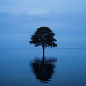 二十多岁是人生的雨季