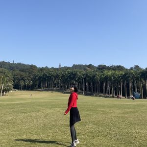 平方倾