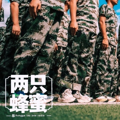 Vol.27 开学军训糗事多，两只蜜蜂说一说， episode artwork