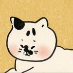 毛胚派momo