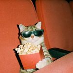 呼啦啦学院校长