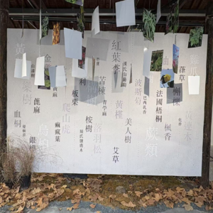 Vol006:对话白老师|用树叶对抗AI?植物热转印背后的治愈哲学