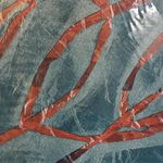 骑上我的小摩托