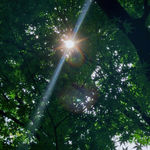 066-走！去逛公园！去听大自然的交响曲🌞🌲🧘‍♀️