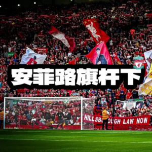 20250203 加克波已成英超球队最强进攻二当家？联赛杯或成热刺赛季最后救命稻草！