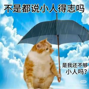 小叶帅