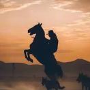 一颗一颗亮晶晶的小星星