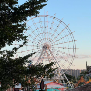 身心灵聊天局：心无挂碍，天地任我遨游