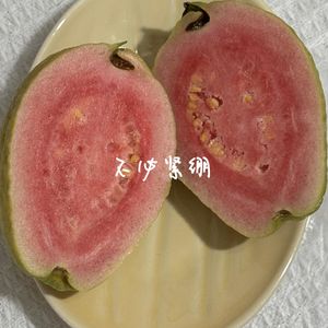 076 不必做一个总是歉疚的女儿