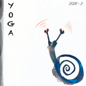 瑜伽｜晓晓：沉浸在艾扬格流派的第14年