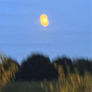 Vol 05 重生之我要阴阳平衡