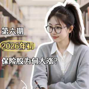 第六期：保险股年初大涨原因