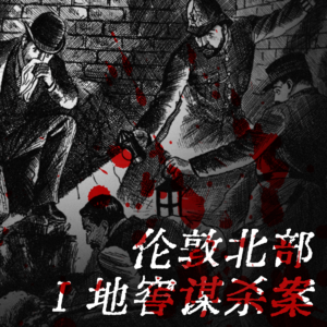 vol.028 伦敦北部地窖谋杀案Ⅰ：来自美国的“模范夫妻”