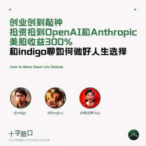 「不做点什么对不起这个时代」 | 访谈 indigo，敲过钟；投过OpenAI、Anthropic；美股收益 300%