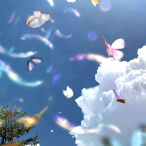 VOL438.能承受多少真相，是对一个人精神强度的考验。