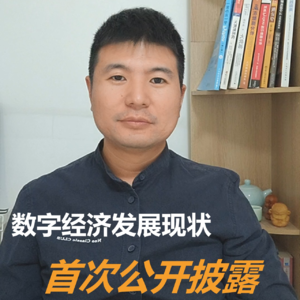 数字经济发展现状首次公开披露