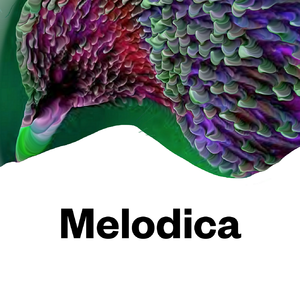 Melodica.2026.05.04