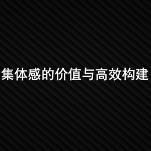 23-集体感的价值与高效构建