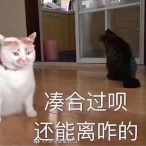 青年干部沉、弯、抬