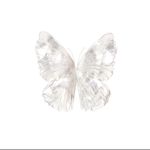 7_HYbp