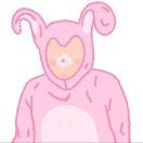 Bunnysuit