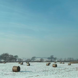 EP.41 东北的冬：哪怕外面零下四五十度，咱这热情还是挡不住