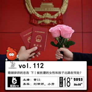 112. 婚姻律师的忠告 上丨为什么我不建议找二婚男？ VOL.111