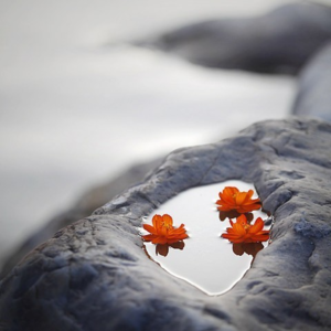 6#5与10藏着风波，蛇年6到位精神受克