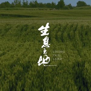 144.生息之地（feat.阳子/霓虹映画）：一个村庄里的中国