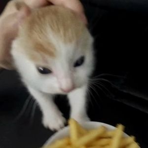 盐粒子1袋